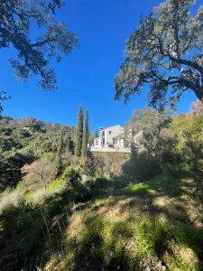 la villa esencia casares (1)