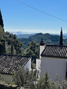 la villa esencia casares (2)